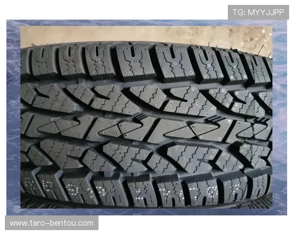 开云tyre轮胎的耐磨性与性能表现详解，助你在游戏中轻松应对各种路况